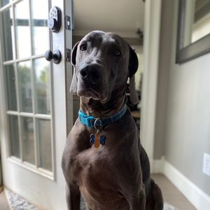 Meet your Posher, Isaiah